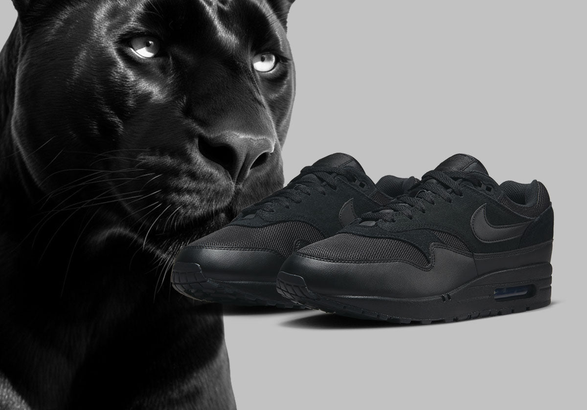 air max 1s black