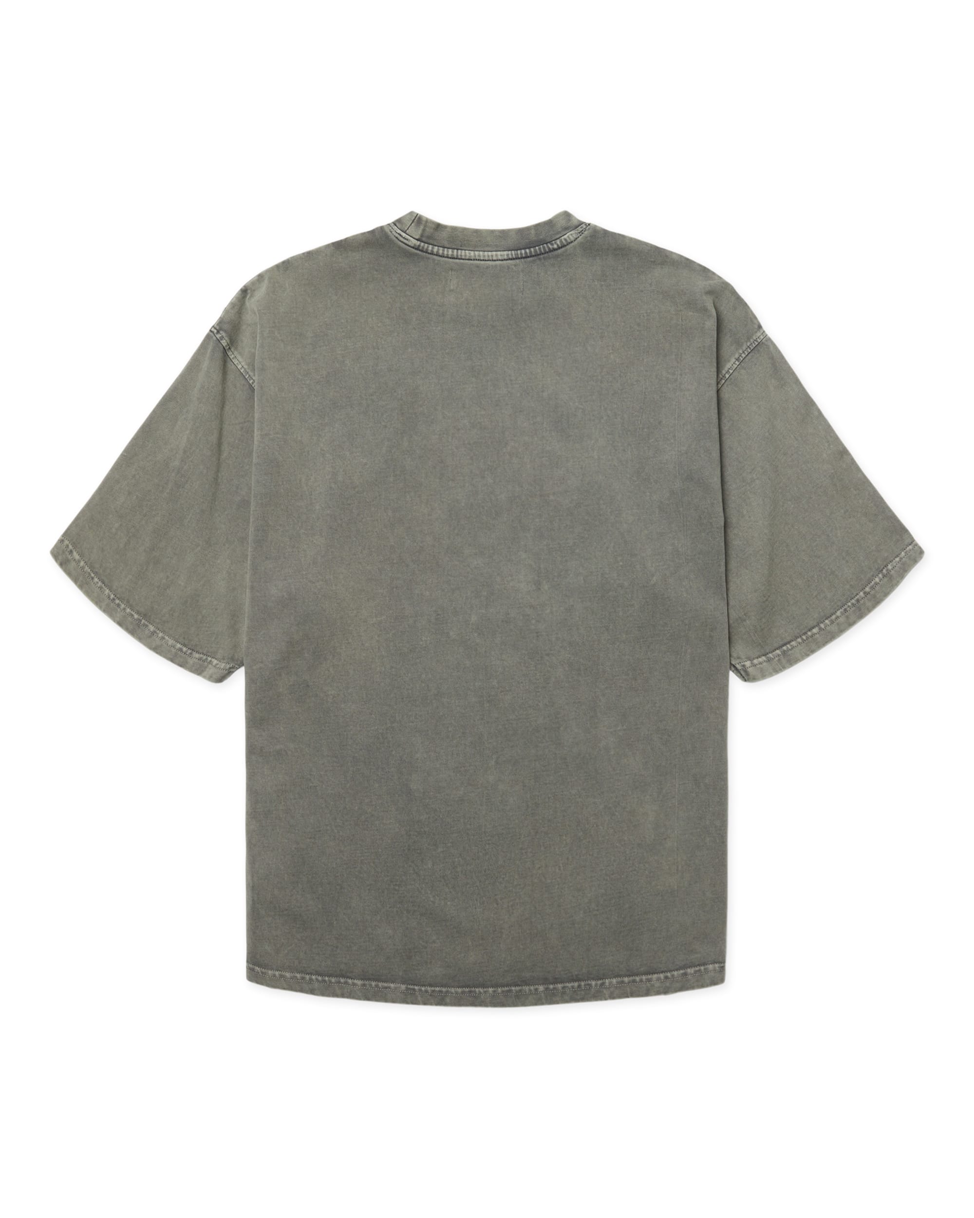 Woodbird Beam Tinted T-shirt
