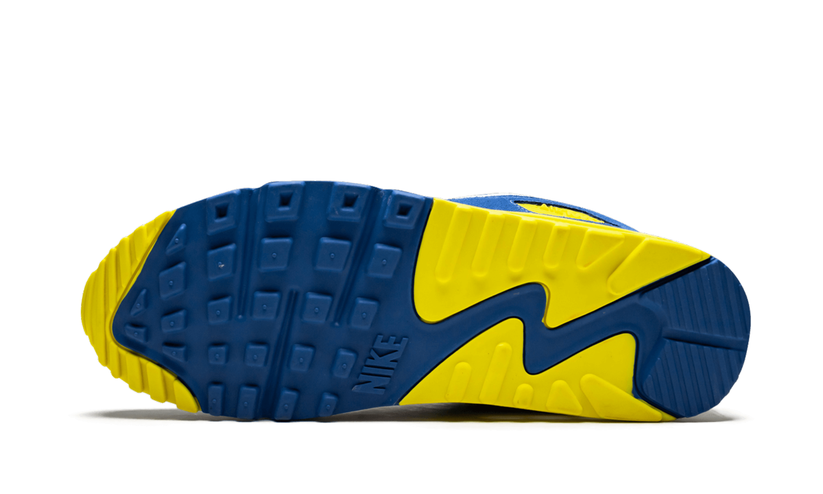 nike air max 90 viotech+CD0917-300+bottom view