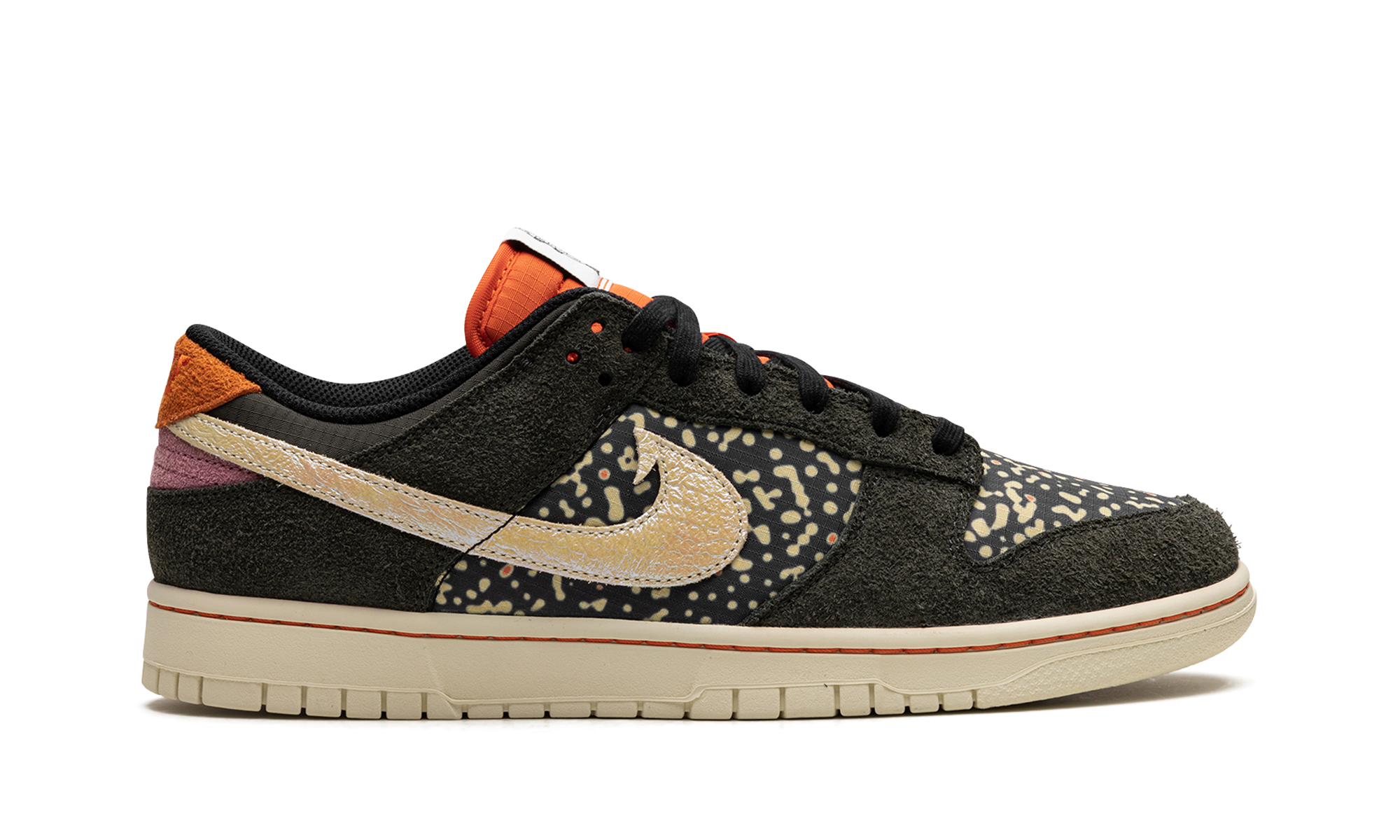 nike dunk low se gone fishing rainbow trout+FN7523-300+right view