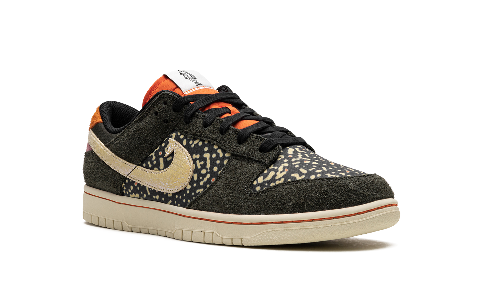 nike dunk low se gone fishing rainbow trout+FN7523-300+diagnol right view
