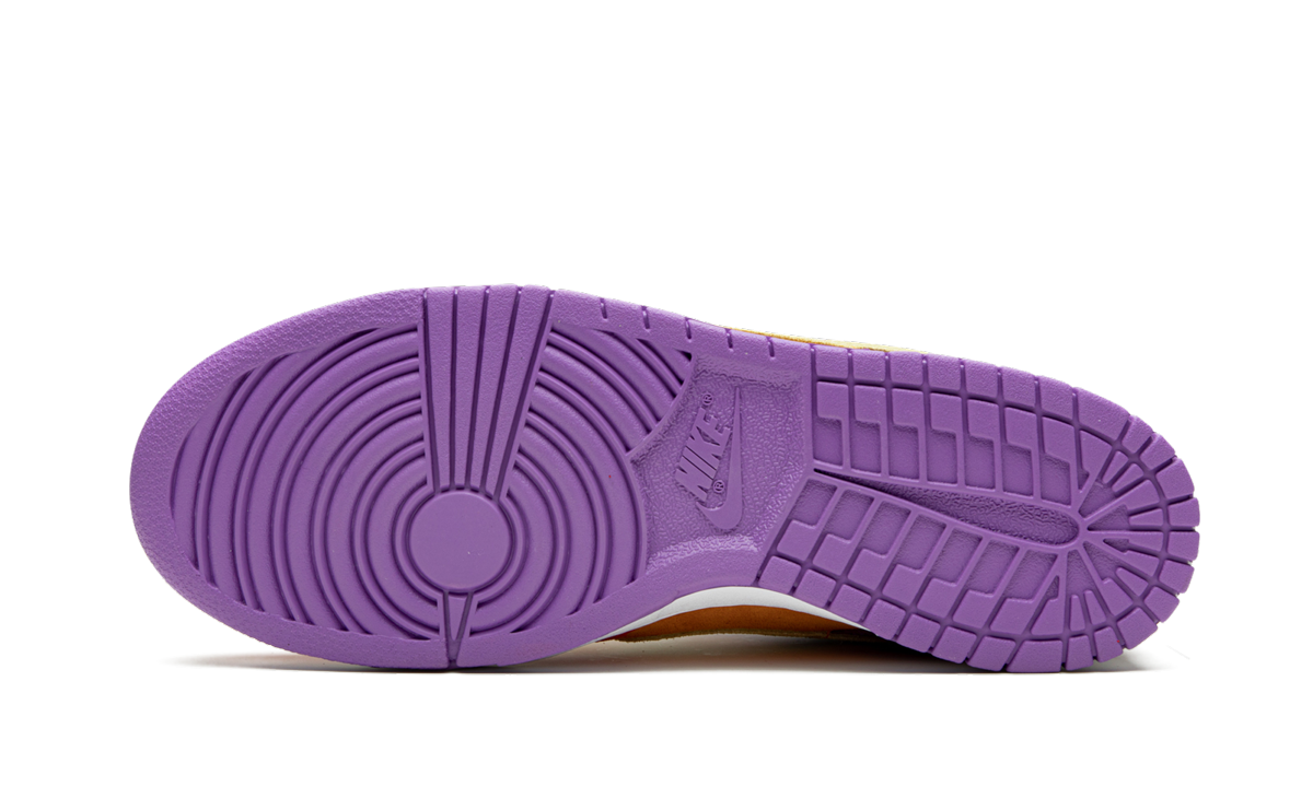nike dunk low sp viotech overkill special box 2019+CT5050-500+bottom view