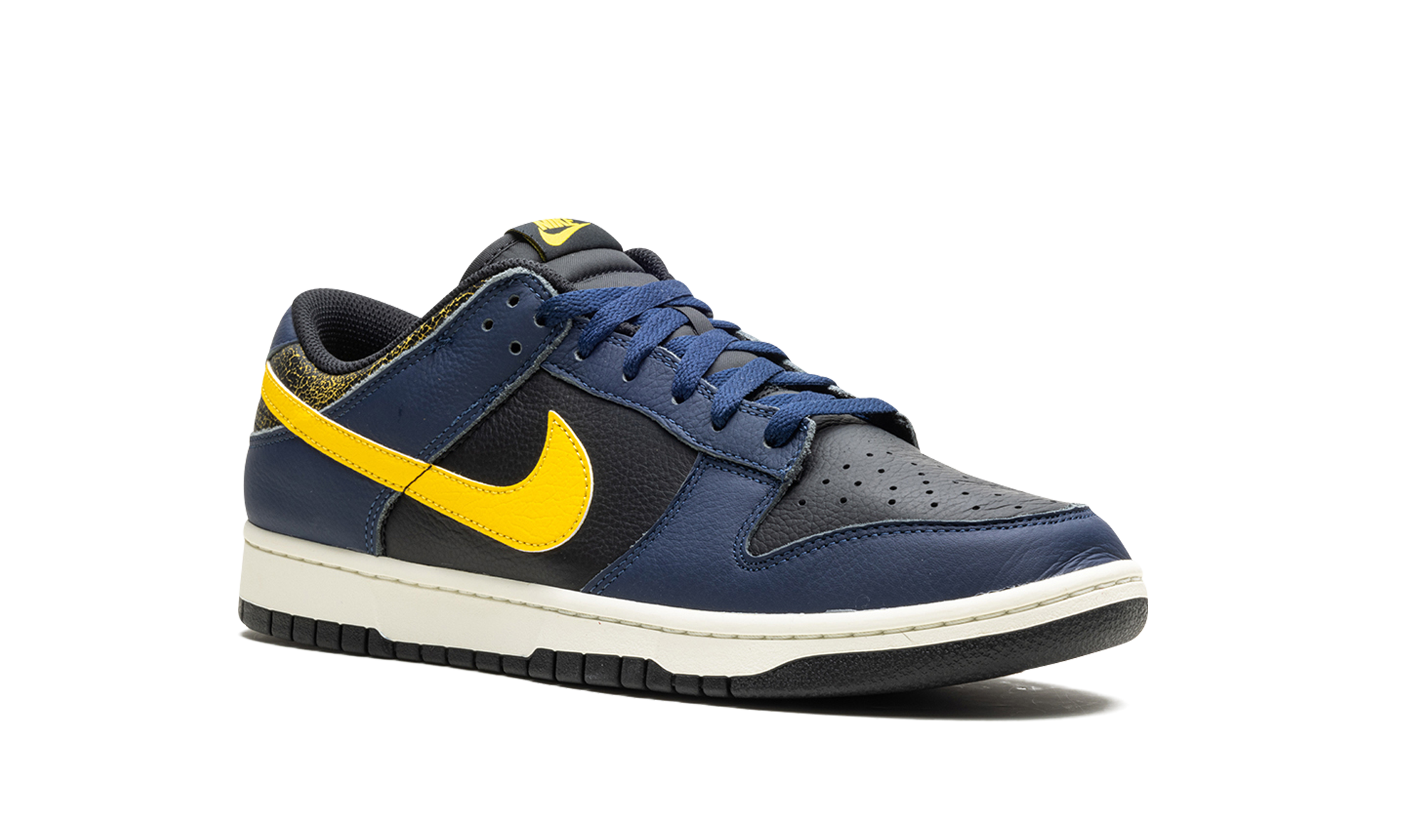 nike dunk low vintage michigan+FZ4014-010+diagnol right view